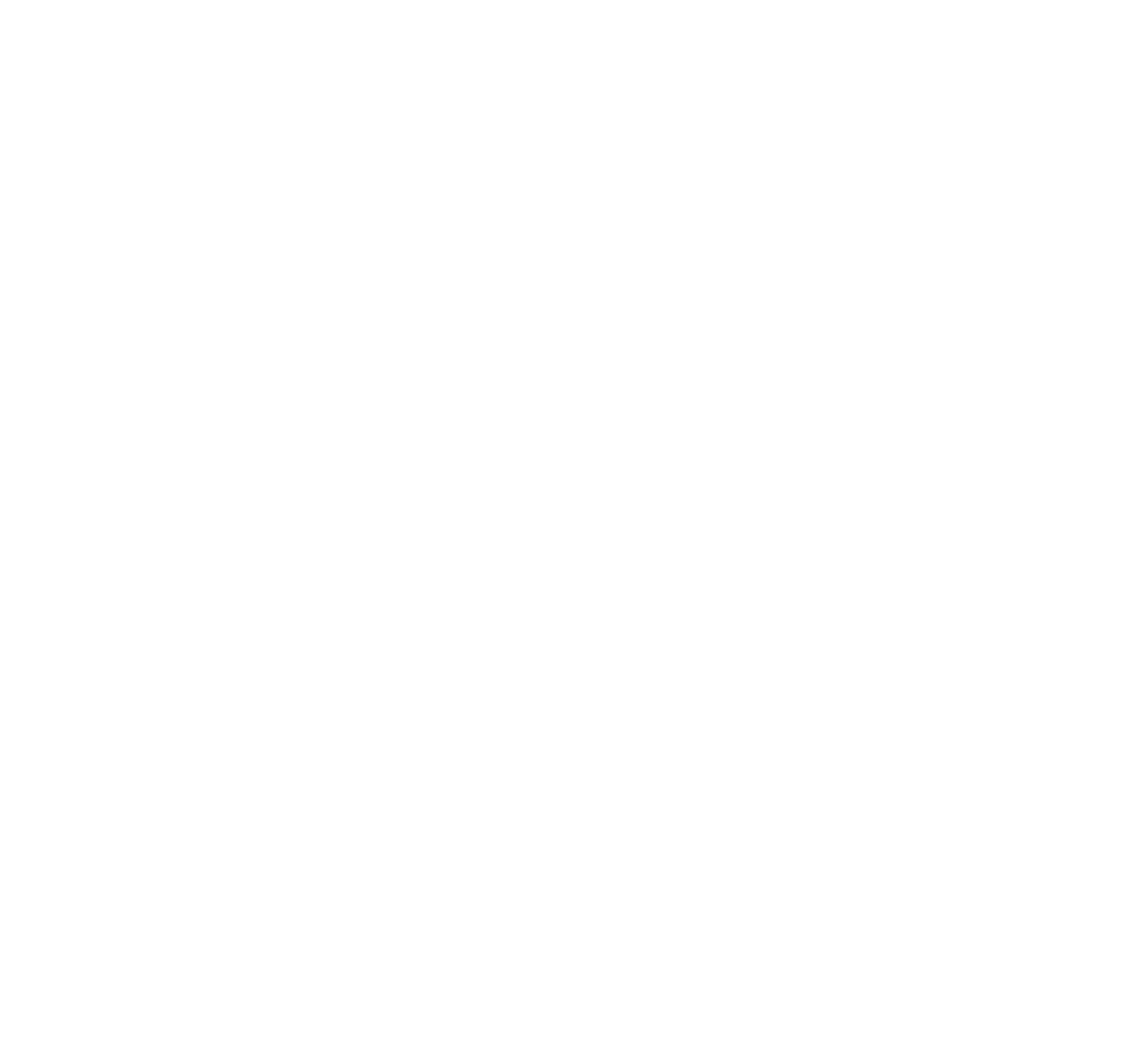 Lý Ngân Electric