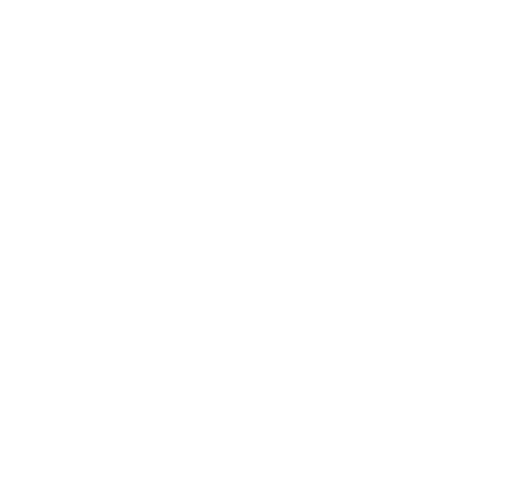 Lý Ngân Electric