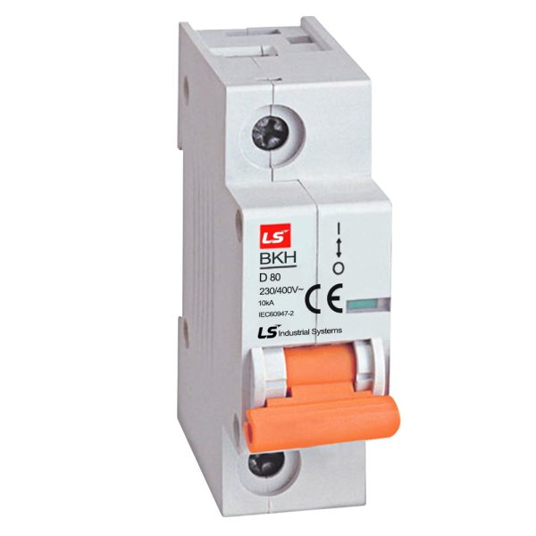 MCB LS (1 Cực) BKH 1P- 100A 10kA