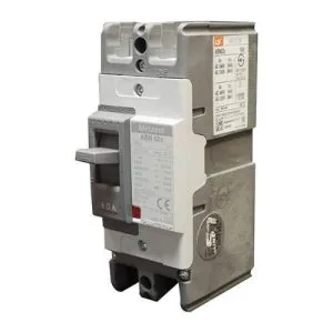 MCCB LS ABN 62C 2P- 60A 30KA